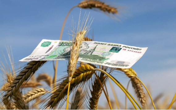 В 2024 году для аграриев одобрили льготных краткосрочных кредитов на 245 млрд рублей