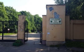 Конкурс на благоустройство Южного парка в Калининграде не состоялся