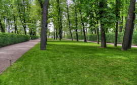 В Калининграде более 100 гектаров территории получили статус озеленённых земель