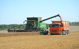 В Калининградской области собран рекордный объём зерновых и рапса