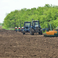 Калининградский регион должен максимально отказаться от импортной аграрной продукции