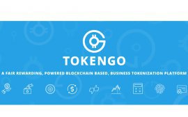 Блокчейн-платформа TokenGO поможет токенизировать бизнес