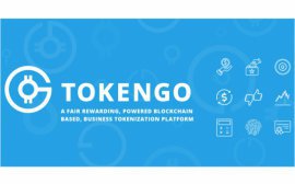 Особенности блокчейн проектов на примере TokenGO