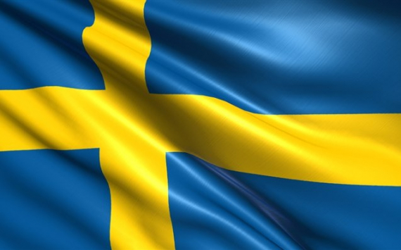 В калининградском регионе работают 18 шведских предприятий