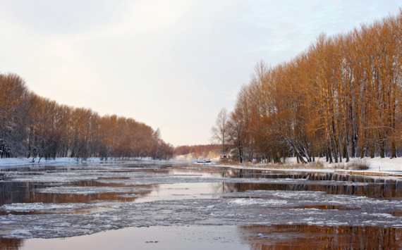 Правительство Калининградской области: в регионе уже десять лет не было такой суровой зимы