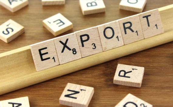 Алиханов осудил монополии на экспорт и импорт в Калининградской области