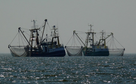 В Калининградской области за 1,5 млрд рублей построят четыре рыболовных судна