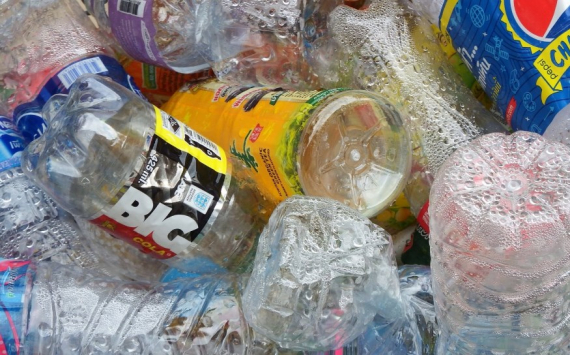 В Калининградской области построят завод по переработке пластиковых бутылок