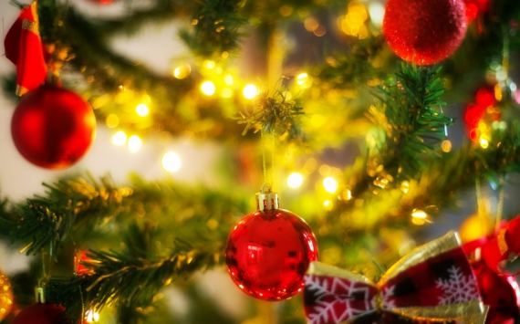 Власти Калининграда отказались покупать новогоднюю елку и украшения за 56 млн рублей