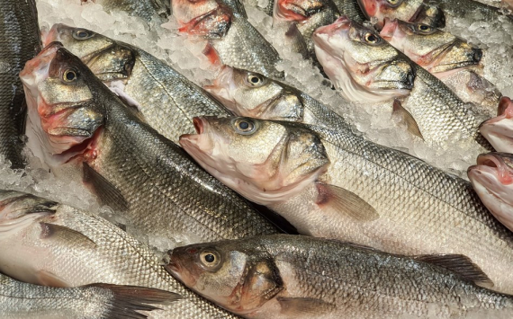 В Калининграде собираются открыть магазины с дешевой рыбой