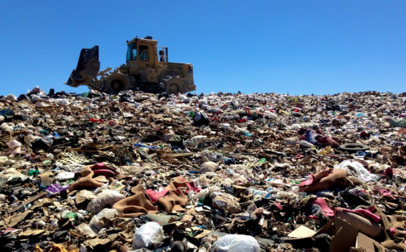 В Калининградской области запустят три новых мусоросортировочных комплекса