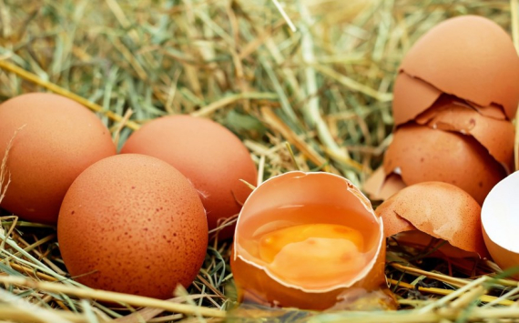Бизнесмен Пономарев рассказал, как изменятся цены на яйца в Калининградской области