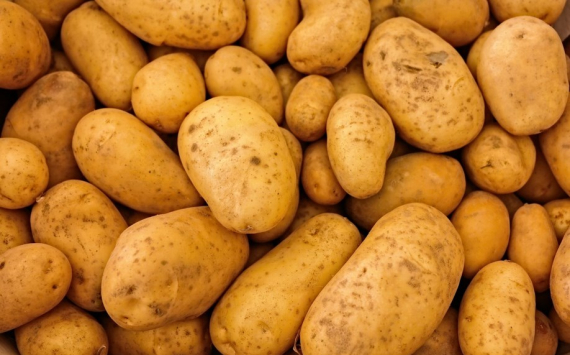 «Мираторг» выкупит производителя семенного картофеля «Балтийские семена»