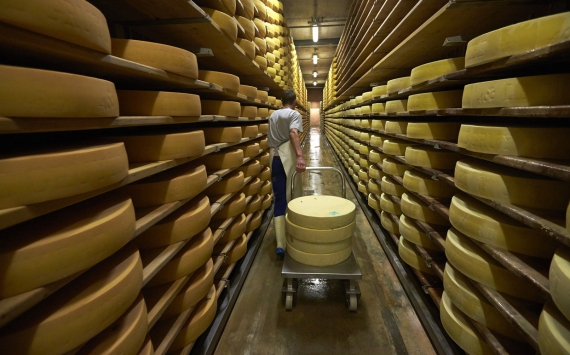 В Калининградской области построят новый завод по производству сыра