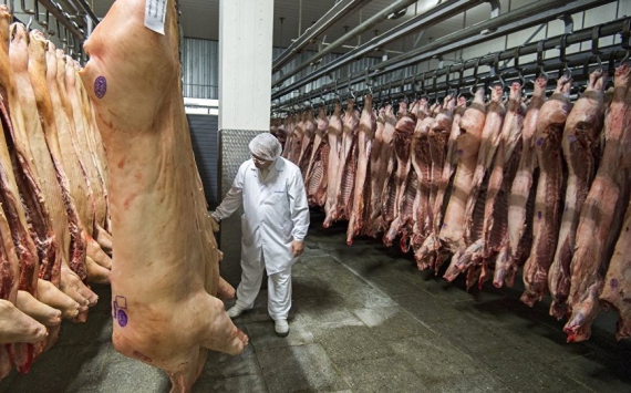 Цены на свинину в Калининградской области выросли почти на 10%