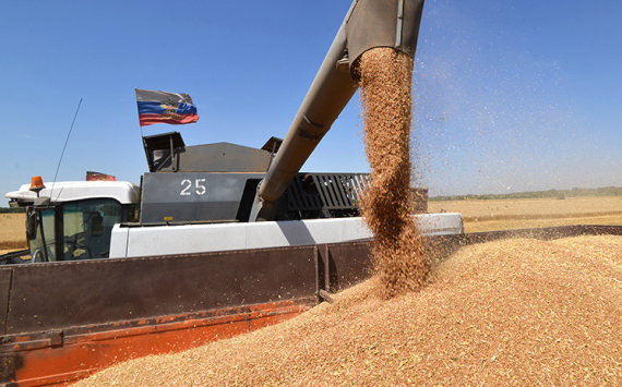 Калининградская компания конкурирует с поставщиками из США на мексиканском рынке пшеницы